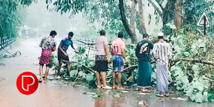 കനത്ത മഴയും കാറ്റും; മുക്കം മേഖലയില്‍ വ്യാപക നാശം