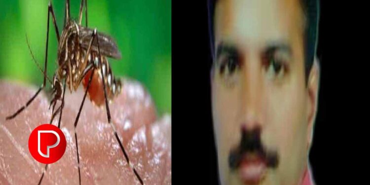 ഇടുക്കിയിൽ ഡെങ്കിപ്പനി ബാധിച്ച് ചികിത്സയിലിരുന്ന ആൾ മരിച്ചു