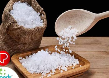 ഉപ്പ് അമിതമായി കഴിച്ചാൽ സംഭവിക്കുന്നത്