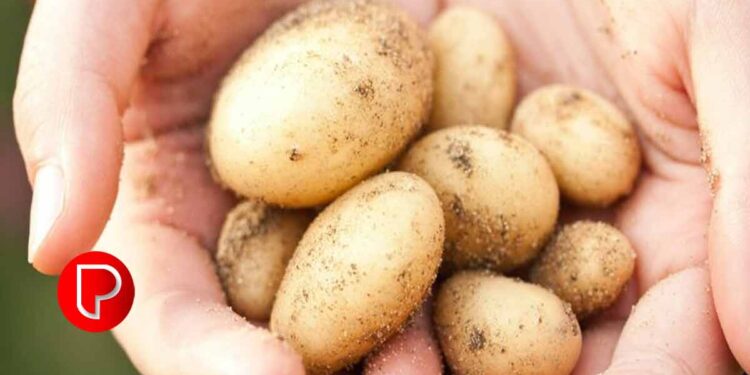 കറുത്ത പാടുകളും നിറവ്യത്യാസവുമൊക്കെ മാറ്റിയെടുക്കാൻ മുഖത്തിന് ഉരുളക്കിഴങ്ങ്