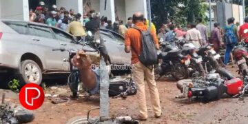 പൂവാട്ടുപറമ്പ് ഇന്നോവ കടയിലേക്ക് ഇടിച്ചു കയറി; 5 പേർക്ക് പരിക്ക്