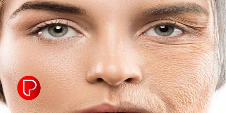 ചർമ്മത്തിന്‍റെ വാർദ്ധക്യത്തിന് കാരണമാകുന്നത് എന്തൊക്കെ ശീലങ്ങൾ