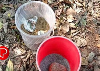 മറ്റു ജില്ലകളിലെ ബോംബ് സ്ക്വാഡുകൾ കണ്ണൂരിലേക്ക് ; അഞ്ചുവർഷത്തിനുള്ളിൽ 252-ലധികം ബോംബുകൾ