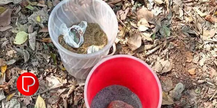 മറ്റു ജില്ലകളിലെ ബോംബ് സ്ക്വാഡുകൾ കണ്ണൂരിലേക്ക് ; അഞ്ചുവർഷത്തിനുള്ളിൽ 252-ലധികം ബോംബുകൾ