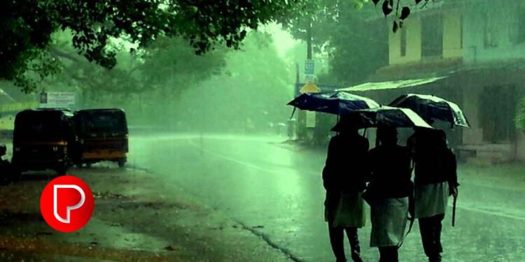 കനത്ത മഴ: വിവിധ ജില്ലകളിലെ വിദ്യാഭ്യാസ സ്ഥാപനങ്ങൾക്ക് അവധി, ചേർത്തല താലൂക്കിലും അവധി