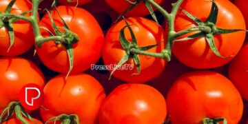 സെഞ്ച്വറി അടിച്ച്‌ തക്കാളി വില; കോഴിക്കോട് 82 രൂപ; പച്ചക്കറി വില വര്‍ധനയില്‍ പൊറുതിമുട്ടി ജനങ്ങള്‍, മീനിനും ക്ഷാമം