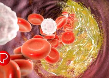 കൊളസ്ട്രോൾ കുറയ്ക്കാൻ കഴിക്കേണ്ടത്