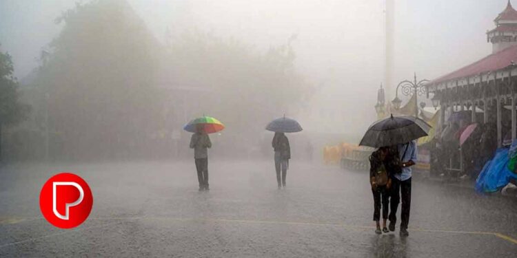 സംസ്ഥാനത്ത് ജൂൺ 9 വരെ മഴ തുടരുമെന്ന് കേന്ദ്ര കാലാവസ്ഥ വകുപ്പ് ; ഒറ്റപ്പെട്ട ശക്തമായ മഴക്ക് സാധ്യത