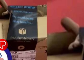 ആമസോണിൽ ഗെയിമിംഗിനായുള്ള എക്സ് ബോക്സ് കൺട്രോളർ ഓർഡർ ചെയ്തു ; പാഴ്സൽ വന്നപ്പോൾ തലനാരിഴക്ക് രക്ഷപെട്ട് ദമ്പതികള്‍‌