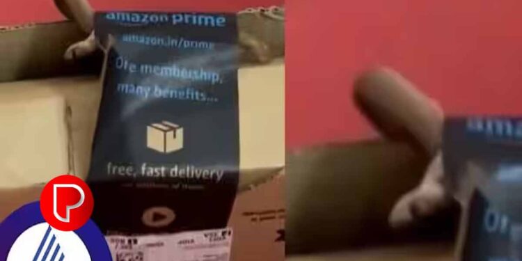 ആമസോണിൽ ഗെയിമിംഗിനായുള്ള എക്സ് ബോക്സ് കൺട്രോളർ ഓർഡർ ചെയ്തു ; പാഴ്സൽ വന്നപ്പോൾ തലനാരിഴക്ക് രക്ഷപെട്ട് ദമ്പതികള്‍‌