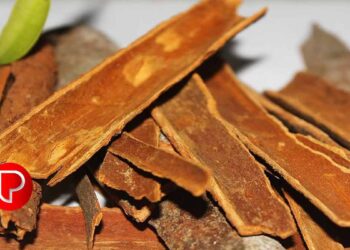 വണ്ണം കുറയ്ക്കാന്‍ ആഗ്രഹിക്കുന്നവര്‍ക്ക് കറുവപ്പട്ട വെള്ളം