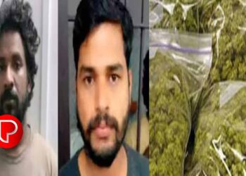 മലപ്പുറത്ത് ലോറിയിൽ 230 കിലോ കഞ്ചാവ് കടത്തിയ സംഭവത്തിലെ പ്രതികൾക്ക് 30 വർഷം കഠിന തടവും പിഴയും വിധിച്ച് കോടതി