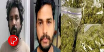 മലപ്പുറത്ത് ലോറിയിൽ 230 കിലോ കഞ്ചാവ് കടത്തിയ സംഭവത്തിലെ പ്രതികൾക്ക് 30 വർഷം കഠിന തടവും പിഴയും വിധിച്ച് കോടതി