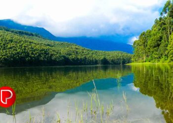 ഇന്ന് കണ്ടല്‍ ദിനം