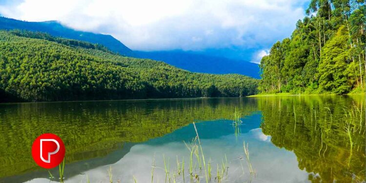 ഇന്ന് കണ്ടല്‍ ദിനം