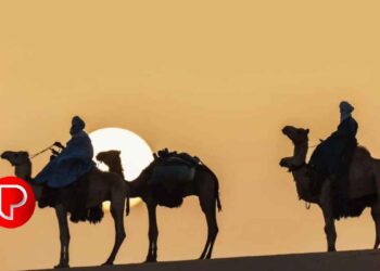 മുഹറം 10 ജൂലൈ 17 ബുധനാഴ്ച്ച