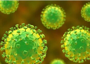 നിപ ബാധിച്ച് ചികിത്സയിലിരുന്ന മലപ്പുറത്തെ 15കാരൻ മരിച്ചു