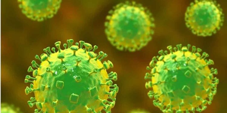 നിപ ബാധിച്ച് ചികിത്സയിലിരുന്ന മലപ്പുറത്തെ 15കാരൻ മരിച്ചു