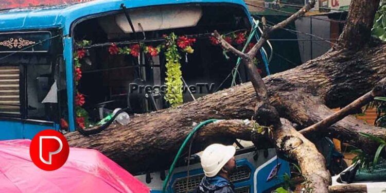എടവണ്ണപ്പാറയിൽ ഓടുന്ന ബസിന് മുകളിൽ മരം വീണു; കണ്ടക്ടർക്ക് പരിക്ക്