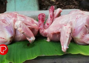 വട്ടോളിയില്‍ പഴകിയ കോഴിയിറച്ചി പിടിച്ചെടുത്തു നശിപ്പിച്ചു