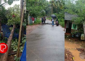 വീടുകള്‍ തകര്‍ന്നു, മരങ്ങള്‍ കടപുഴകി വീണു; കോഴിക്കോട് മഴയിലും കാറ്റിലും വ്യാപക നാശനഷ്ടം
