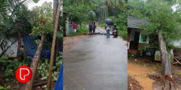 വീടുകള്‍ തകര്‍ന്നു, മരങ്ങള്‍ കടപുഴകി വീണു; കോഴിക്കോട് മഴയിലും കാറ്റിലും വ്യാപക നാശനഷ്ടം