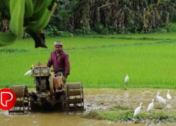 കാര്‍ഷിക യന്ത്രങ്ങള്‍ സബ്‌സിഡി നിരക്കില്‍; വേങ്ങേരി കാര്‍ഷിക വിപണന കേന്ദ്രത്തിലെ കേരള അഗ്രോ ഇന്‍ഡസ്‌ട്രീസ്‌ കോര്‍പ്പറേഷന്‍ ജില്ലാ ഓഫീസുമായി ബന്ധപ്പെടാം