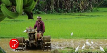കാര്‍ഷിക യന്ത്രങ്ങള്‍ സബ്‌സിഡി നിരക്കില്‍; വേങ്ങേരി കാര്‍ഷിക വിപണന കേന്ദ്രത്തിലെ കേരള അഗ്രോ ഇന്‍ഡസ്‌ട്രീസ്‌ കോര്‍പ്പറേഷന്‍ ജില്ലാ ഓഫീസുമായി ബന്ധപ്പെടാം