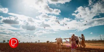 ‘അർജുന് വേണ്ടി പുഴയിലേക്കിറങ്ങിയത് സ്വന്തം റിസ്‌കിൽ, നിന്‍റെ ജീവൻ നീ നോക്കണമെന്ന് എഴുതി വാങ്ങിച്ചു’: ഈശ്വർ മാൽപെ