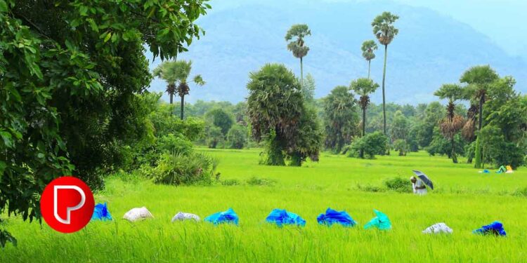 കാര്‍ഷിക മുന്നേറ്റത്തിനു കഴിഞ്ഞവര്‍ഷം കോഴിക്കോട് ജില്ലയില്‍ ചെലവഴിച്ചത് 31.26 കോടി