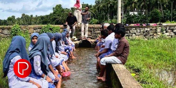 പ്രകൃതിയിൽ നിന്ന് പഠിക്കുന്നത് കുട്ടികൾക്ക് ആവേശമാണ്; സൗത്ത് കൊടിയത്തൂർ എ.യു.പി സ്‌കൂളിലെ അഞ്ചാം ക്ലാസ് വിദ്യാർത്ഥികൾ പ്രായോഗിക പഠനത്തിന് അദ്ധ്യാപകരോടൊപ്പം പ്രകൃതിയിലേക്ക്