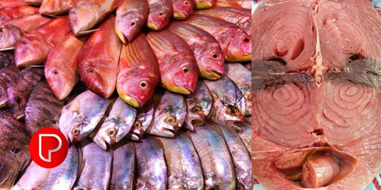 ഓപ്പറേഷൻ മത്സ്യ: കോഴിക്കോട് ജില്ലയില്‍ പിടികൂടിയത് 125 കിലോ മത്സ്യം