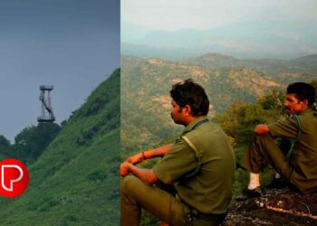 കോഴിക്കോട് ജില്ലയില്‍ വനം വകുപ്പില്‍ ജോലി നേടാം; കൂടുതല്‍ വിവരങ്ങള്‍ ഇങ്ങനെ