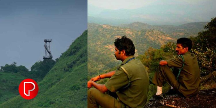 കോഴിക്കോട് ജില്ലയില്‍ വനം വകുപ്പില്‍ ജോലി നേടാം; കൂടുതല്‍ വിവരങ്ങള്‍ ഇങ്ങനെ