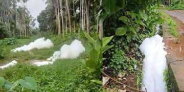 ഓമശ്ശേരിയിൽ തോട്ടിലെ വെള്ളത്തിൽ വെളുത്ത നുര ഉയർന്നു; നാട്ടുകാർ കാരണം കണ്ടെത്തി