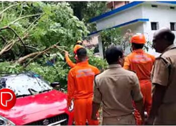 കനത്ത മഴയിലും കാറ്റിലും കോഴിക്കോട് വ്യാപക നാശനഷ്ടം; താമരശേരി പൊലീസ് സ്‌റ്റേഷനിൽ കാറിനു മുകളിൽ മരം വീണു അപകടം