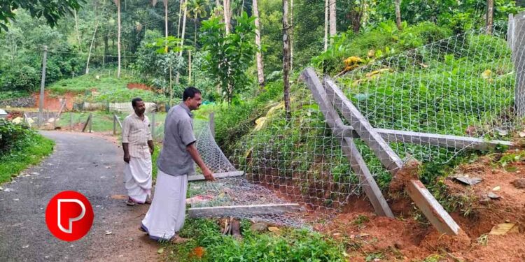 കോടഞ്ചേരിയിൽ കാട്ടുപന്നിയെ തടയുന്നതിന് സ്ഥാപിച്ച വേലി തകർത്ത സാമൂഹ്യ വിരുദ്ധർക്കെതിരെ നടപടിയെടുക്കണം – കർഷക കോൺഗ്രസ്