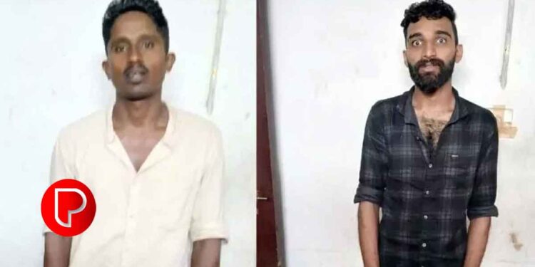 മീനങ്ങാടിയിൽ രണ്ടര ലക്ഷത്തിന്റെ കൊക്കോ പരിപ്പ് മോഷണം; വാവാട്, ഓമശ്ശേരി സ്വദേശികള്‍ അറസ്റ്റില്‍