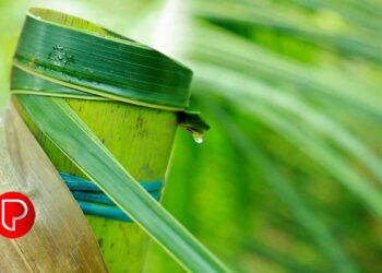 മസ്റ്റർ ചെയ്യുന്നവരിൽ നിന്ന് 30 രൂപയേ ഈടാക്കാവൂ- വെൽഫെയർ ഫണ്ട് ഇൻസ്പെക്ടർ