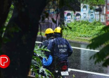 കൊടുങ്കാറ്റും പേമാരിയും; കെഎസ്‌ഇബിക്ക് കോഴിക്കോട്, വടകര സർക്കിളുകളിലായി ഏഴുകോടി രൂപയുടെ നാശനഷ്ടം