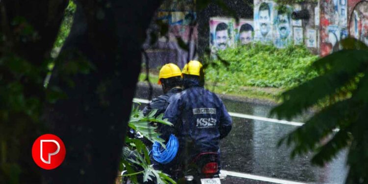 കൊടുങ്കാറ്റും പേമാരിയും; കെഎസ്‌ഇബിക്ക് കോഴിക്കോട്, വടകര സർക്കിളുകളിലായി ഏഴുകോടി രൂപയുടെ നാശനഷ്ടം