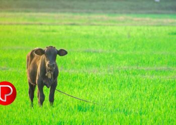 മഴക്കാലത്ത് അപകടങ്ങൾ വർദ്ധിക്കുന്നു; റോഡില്‍ അഭ്യാസം വേണ്ട