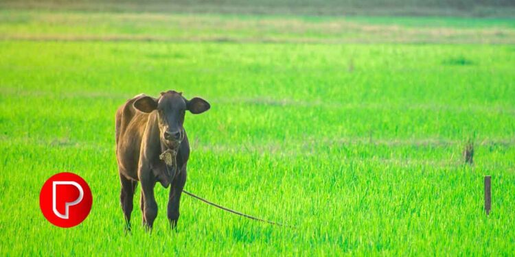 മഴക്കാലത്ത് അപകടങ്ങൾ വർദ്ധിക്കുന്നു; റോഡില്‍ അഭ്യാസം വേണ്ട