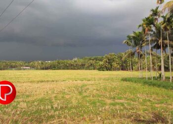 ന്യൂനമർദ്ദം: നാളെ മുതൽ കനത്ത മഴയ്ക്ക് സാധ്യത; ശനിയാഴ്ച കോഴിക്കോട് ഓറഞ്ച് അലർട്ട്