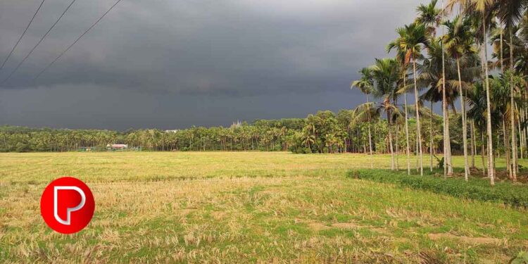 ന്യൂനമർദ്ദം: നാളെ മുതൽ കനത്ത മഴയ്ക്ക് സാധ്യത; ശനിയാഴ്ച കോഴിക്കോട് ഓറഞ്ച് അലർട്ട്