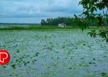 മഴക്കാലത്ത് അപകടങ്ങൾ വർദ്ധിക്കുന്നു; റോഡില്‍ അഭ്യാസം വേണ്ട