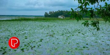 മഴക്കാലത്ത് അപകടങ്ങൾ വർദ്ധിക്കുന്നു; റോഡില്‍ അഭ്യാസം വേണ്ട