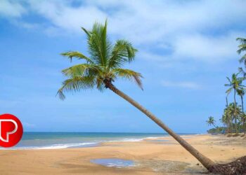 ന്യൂനമർദ്ദം: നാളെ മുതൽ കനത്ത മഴയ്ക്ക് സാധ്യത; ശനിയാഴ്ച കോഴിക്കോട് ഓറഞ്ച് അലർട്ട്