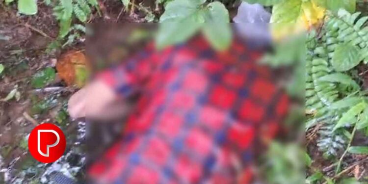 തിരുവമ്പാടി പുന്നക്കൽ പൊന്നാങ്കയത്ത് യുവാവിനെ മരിച്ച നിലയിൽ കണ്ടെത്തി