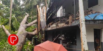 മഴ കുറഞ്ഞു, ചുഴലിക്കാറ്റിൽ നാശം; മാവൂർ ചെറൂപ്പയിൽ വീടിന് മുകളിലേക്ക് കൂറ്റൻ മരം വീണു; വൻ ദുരന്തം ഒഴിവായി